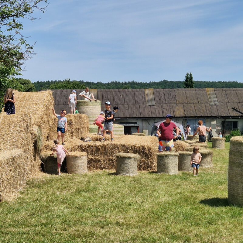 Der Bau eines gemauerten Holzbackofens