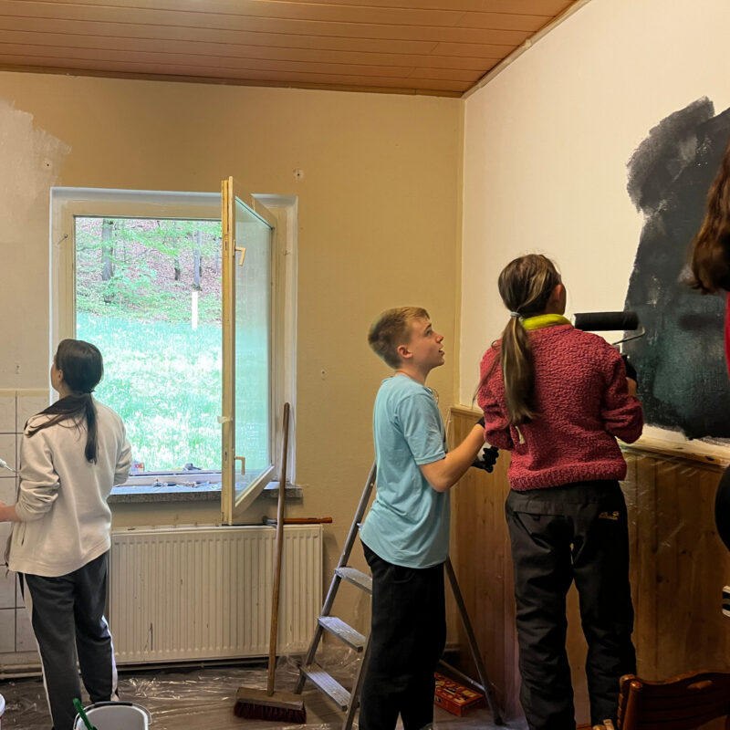 Wenn Sie möchten, kann ich die Texte auch kürzer, einfacher oder emotionaler formulieren – z. B. für Website, Social Media oder Förderberichte.