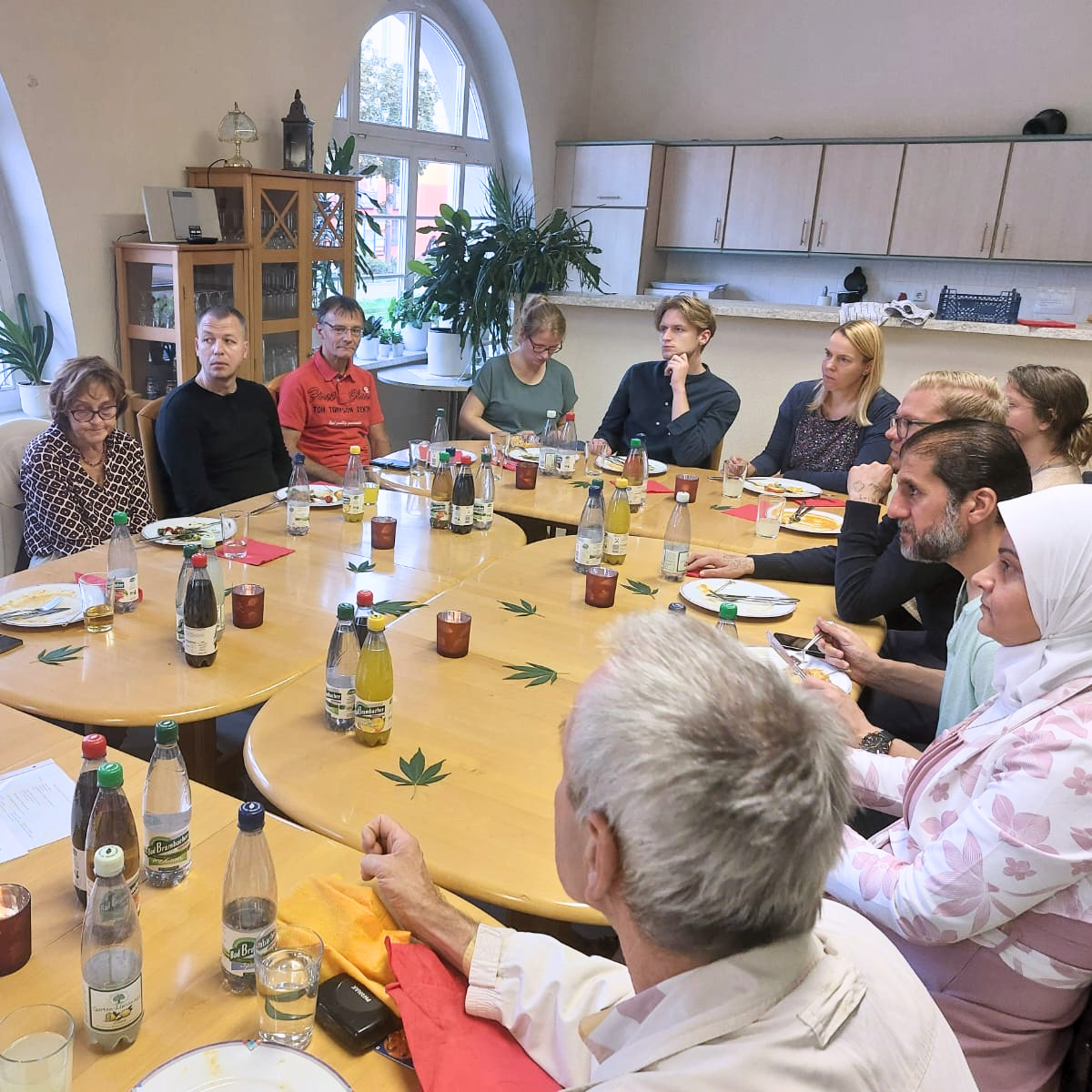 Demokratiedinner 201